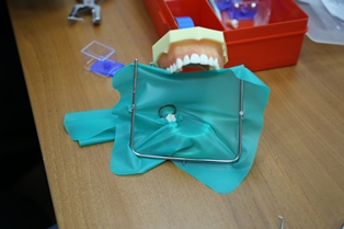 IMG_7188.jpg IMG_7188.jpg